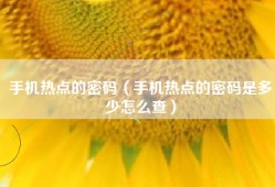 手机热点的密码（手机热点的密码是多少怎么查）