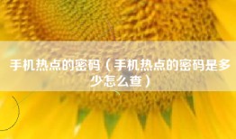 手机热点的密码（手机热点的密码是多少怎么查）