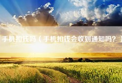 手机扣钱吗（手机扣钱会收到通知吗？）