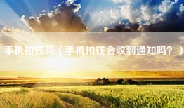 手机扣钱吗（手机扣钱会收到通知吗？）