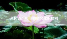 文化遗产和非物质文化的区别
