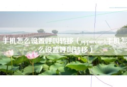 手机怎么设置呼叫转移（opporeno6手机怎么设置呼叫转移）