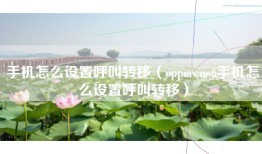 手机怎么设置呼叫转移（opporeno6手机怎么设置呼叫转移）