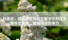 刘善武：国有企业如何在数字化时代实现转型升级、提高市场竞争力