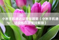 小米手机通话设置在哪里（小米手机通话设置在哪里找解除）