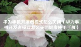 华为手机开发者模式怎么关闭（华为手机开发者模式怎么关闭健康使用手机）