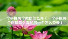 一个手机两个微信怎么弄（一个手机两个微信怎么弄的另一个怎么登录）