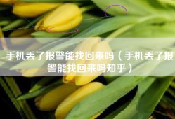 手机丢了报警能找回来吗（手机丢了报警能找回来吗知乎）