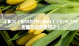 手机丢了报警能找回来吗（手机丢了报警能找回来吗知乎）