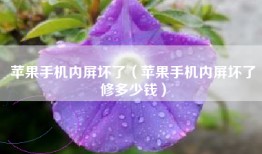 苹果手机内屏坏了（苹果手机内屏坏了修多少钱）