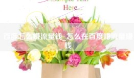 百度怎么赚流量钱_怎么在百度赚流量赚钱