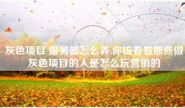 灰色项目 服务器怎么弄,你该看看那些做灰色项目的人是怎么玩营销的