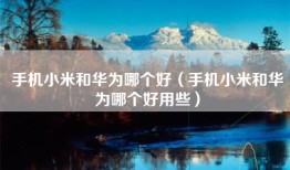 手机小米和华为哪个好（手机小米和华为哪个好用些）