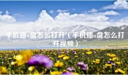 手机插u盘怎么打开（手机插u盘怎么打开视频）