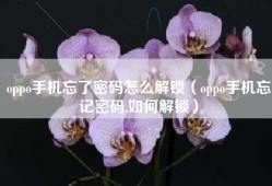 oppo手机忘了密码怎么解锁（oppo手机忘记密码,如何解锁）