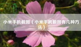 小米手机截图（小米手机截图有几种方法）