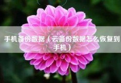手机备份数据（云备份数据怎么恢复到手机）