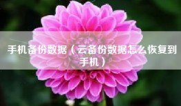 手机备份数据（云备份数据怎么恢复到手机）