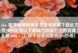 idm 服务器响应显示您没有权限下载此文件_IDM也可以下载磁力链接？（附资源）全程30Mb／s！你不知道的那些IDM妙用！...