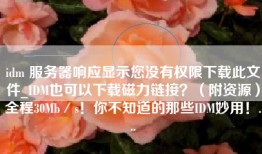 idm 服务器响应显示您没有权限下载此文件_IDM也可以下载磁力链接？（附资源）全程30Mb／s！你不知道的那些IDM妙用！...