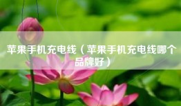 苹果手机充电线（苹果手机充电线哪个品牌好）