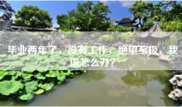 毕业两年了，没有工作，绝望至极，我该怎么办？