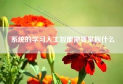 系统的学习人工智能需要掌握什么