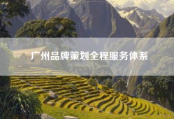 广州品牌策划全程服务体系