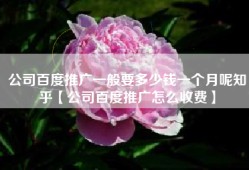 公司百度推广一般要多少钱一个月呢知乎【公司百度推广怎么收费】
