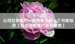 公司百度推广一般要多少钱一个月呢知乎【公司百度推广怎么收费】