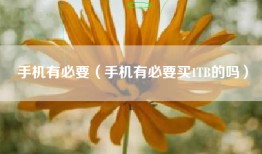 手机有必要（手机有必要买1TB的吗）