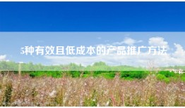 5种有效且低成本的产品推广方法