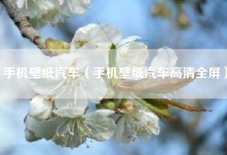手机壁纸汽车（手机壁纸汽车高清全屏）
