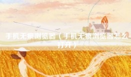 手机无痕浏览器（手机无痕浏览器怎么打开）