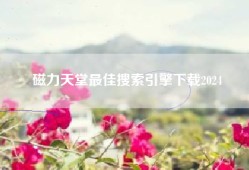 磁力天堂最佳搜索引擎下载2024