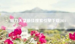 磁力天堂最佳搜索引擎下载2024