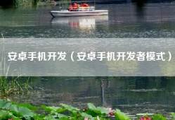 安卓手机开发（安卓手机开发者模式）