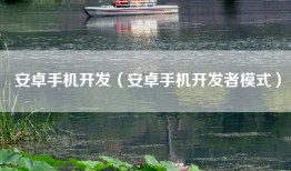 安卓手机开发（安卓手机开发者模式）