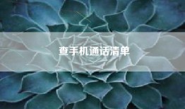 查手机通话清单