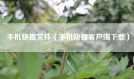 手机快播文件（手机快播客户端下载）