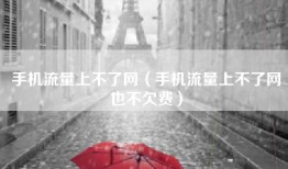 手机流量上不了网（手机流量上不了网也不欠费）
