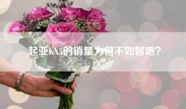 起亚KX5的销量为何不如智跑？