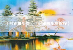手机刷机步骤（手机刷机步骤教程）