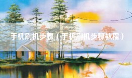 手机刷机步骤（手机刷机步骤教程）