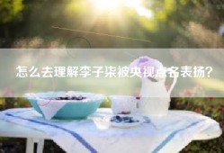 怎么去理解李子柒被央视点名表扬？