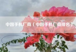 中国手机厂商（中国手机厂商排名）