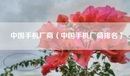中国手机厂商（中国手机厂商排名）