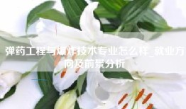 弹药工程与爆炸技术专业怎么样_就业方向及前景分析