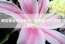 微信重磅新品曝光：竟然是1699元的微信相框Plus