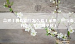 苹果手机指南针怎么看（苹果手机指南针怎么看方向视频）